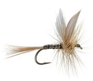 Best Dry Flies